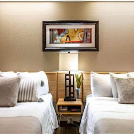 5 Starz Hotel 링컨 외부 사진